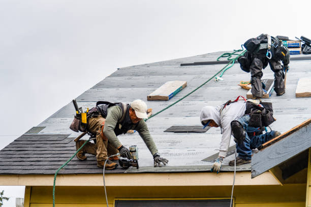 Professional Gutter Installation technician working in Paisley, FL